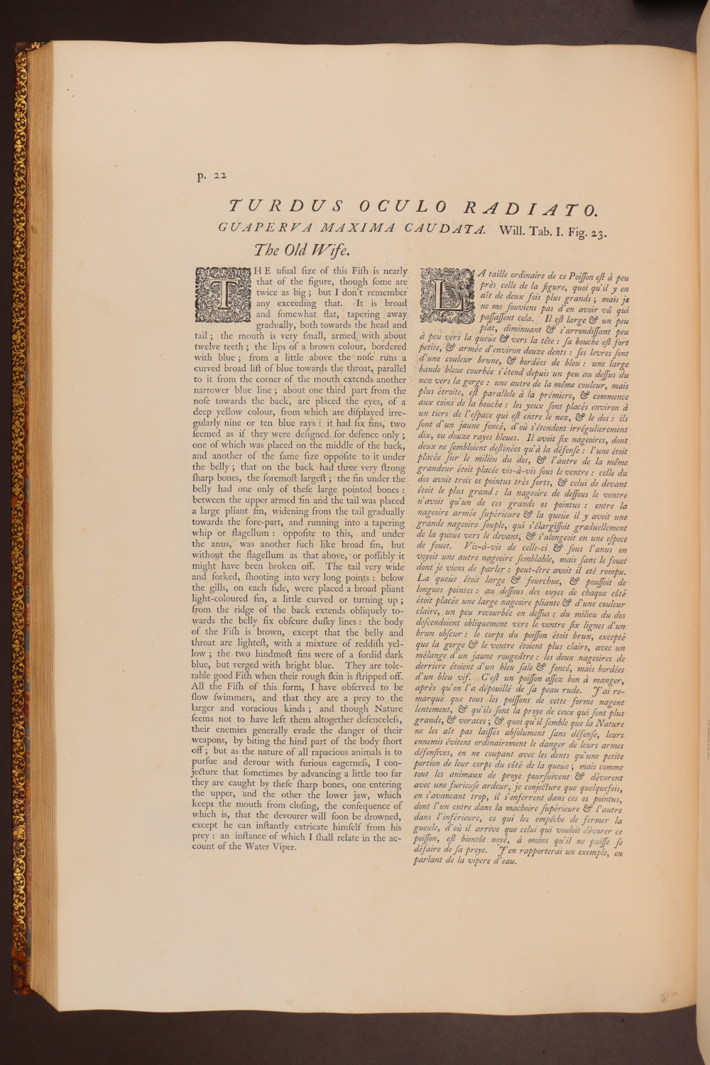 Page 22